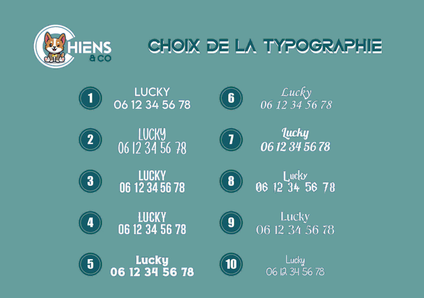 Collier Bleu avec Médaille Intégrée Personnalisée et Laisse Assortie